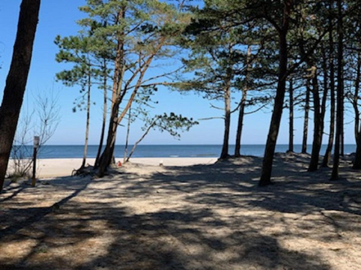 Vila Letnisko Dębki Exteriér fotografie